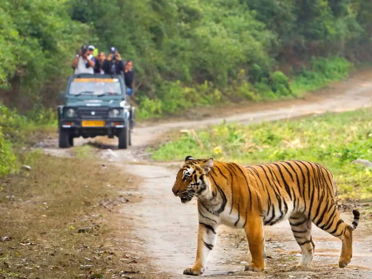 Jim Corbett National Park